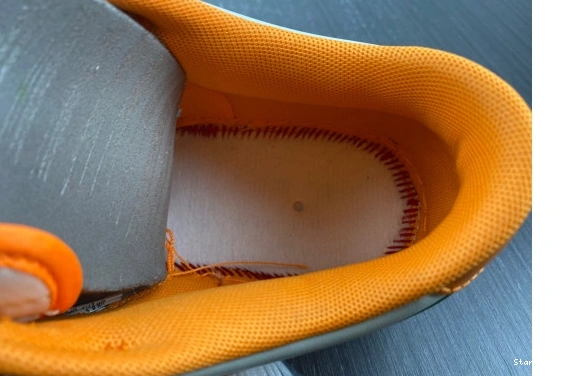 Florida Low University Nike A&M DR6188-800 Dunk 0126